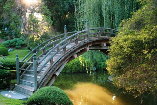 découvrez l'apaisement et l'harmonie des jardins zen, des espaces de méditation idéaux qui allient beauté naturelle et sérénité. explorez comment créer votre propre oasis de tranquillité.