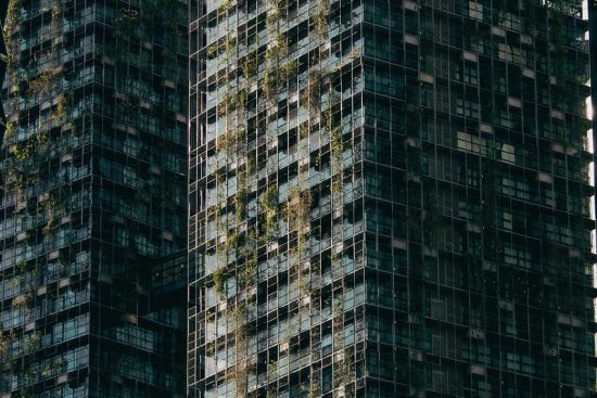 découvrez l'importance des matériaux durables dans la construction et l'industrie. apprenez comment ces ressources éco-responsables contribuent à la préservation de l'environnement tout en offrant des solutions innovantes et performantes.