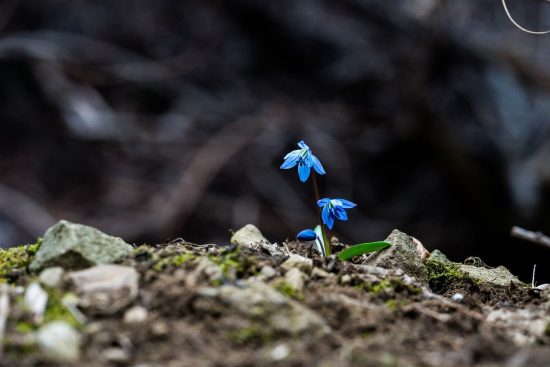 découvrez des stratégies et des conseils pratiques pour favoriser votre développement personnel et améliorer votre bien-être. apprenez à surmonter vos obstacles, à renforcer votre confiance en vous et à atteindre vos objectifs de vie.