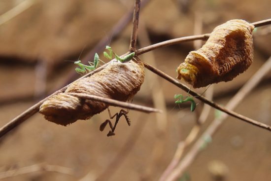 découvrez l'art du cocooning : créez un espace chaleureux et apaisant chez vous, idéal pour se détendre et s'évader du quotidien. inspirez-vous avec nos conseils pour un cocon douillet et relaxant.