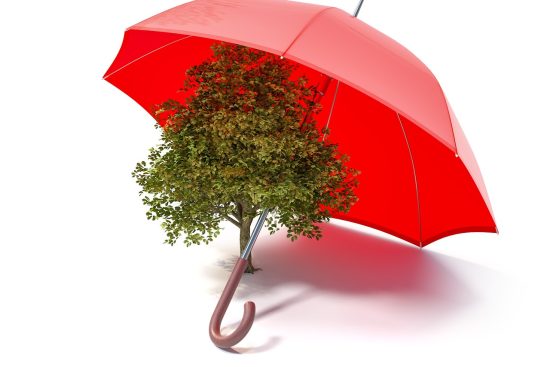 découvrez notre sélection de matériaux écologiques qui allient durabilité et respect de l'environnement. optez pour des solutions innovantes pour vos projets tout en préservant la planète.