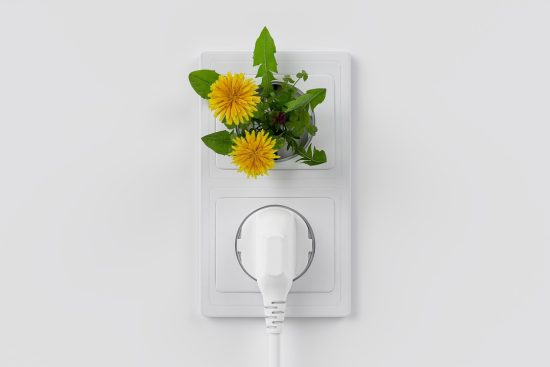 découvrez comment les matériaux durables transforment notre manière de construire et de consommer. explorez les avantages environnementaux et économiques des choix responsables pour un avenir plus vert.