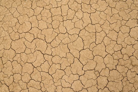 découvrez les différents types de sols, leurs caractéristiques et leur importance pour l'agriculture, l'écologie et l'environnement. apprenez comment chaque type de sol influence la croissance des plantes et les écosystèmes.